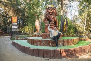 Из Сантьяго: Зоопарк Rancagua Safari Park