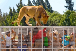 De Santiago: Safari Park, uma experiência selvagem