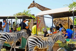 De Santiago: Safari Park, uma experiência selvagem