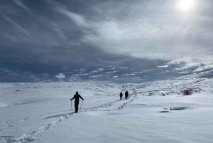 From Santiago: Snowshoeing Hike at the Andes