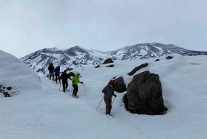 From Santiago: Snowshoeing Hike at the Andes