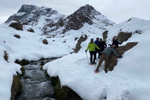 From Santiago: Snowshoeing Hike at the Andes