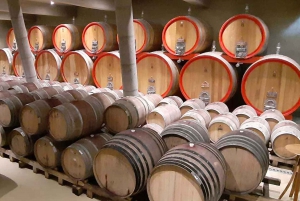From Santiago: Surfing and Wine Full-Day Private Tour