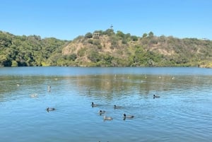 Depuis Santiago : la plus grande volière d'Amérique et Isla Negra