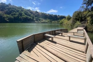 Depuis Santiago : la plus grande volière d'Amérique et Isla Negra