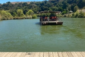 Depuis Santiago : la plus grande volière d'Amérique et Isla Negra