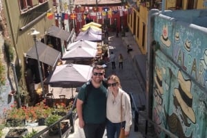 Fra Santiago: Tur til Valparaiso og vingården Casablanca Valley