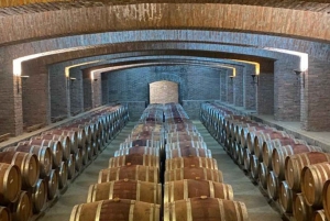 From Santiago: Undurraga Winery Tour with Tasting