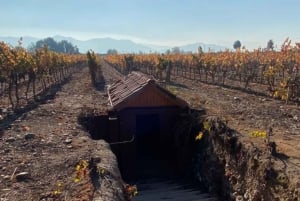 De Santiago: Visita à vinícola Undurraga com degustação