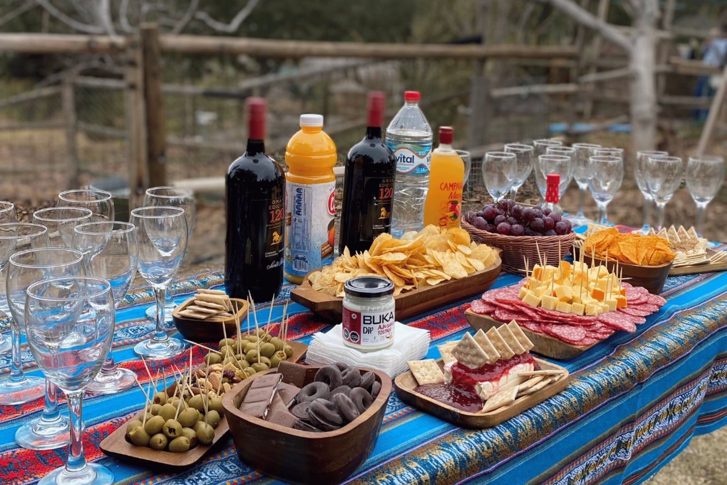 Из Сантьяго: Валье-де-Аконкагуа и Лагуна-дель-Инка