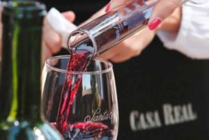From Santiago: Viña Santa Rita Tour w/Transfer