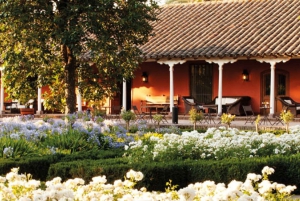 From Santiago: Viña Santa Rita Tour w/Transfer
