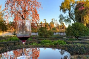 From Santiago: Viña Santa Rita Tour w/Transfer