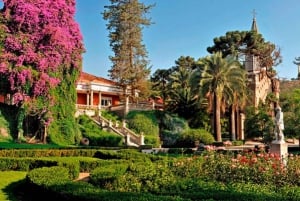 From Santiago: Viña Santa Rita Tour w/Transfer
