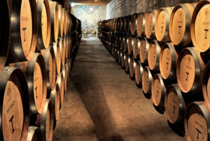 From Santiago: Viña Santa Rita Tour w/Transfer