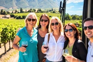 De Santiago: Ruta del Vino Valle del Aconcagua