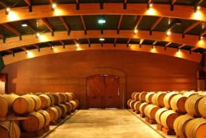 De Santiago: Ruta del Vino Valle del Aconcagua