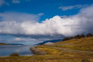 From Ushuaia: Penguin Watching Tour by Catamaran