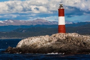 From Ushuaia: Penguin Watching Tour by Catamaran