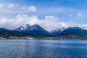 From Ushuaia: Penguin Watching Tour by Catamaran