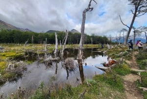 From Ushuaia: Tierra del Fuego Emerald Lagoon Trekking Tour