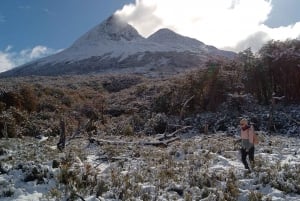 From Ushuaia: Tierra del Fuego Emerald Lagoon Trekking Tour