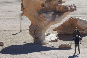 From Uyuni: 3-Day Salar de Uyuni and National Reserve Tour