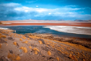Från Uyuni: 3-dagars tur till San Pedro med besök på saltstenarna