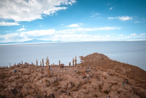 Från Uyuni: 3-dagars tur till San Pedro med besök på saltstenarna