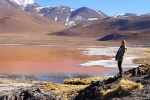 From Uyuni: Laguna Colorada and Salar de Uyuni 3-Day + Meals