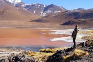 From Uyuni:Laguna Colorada and Salar de Uyuni 3 Days + Meals