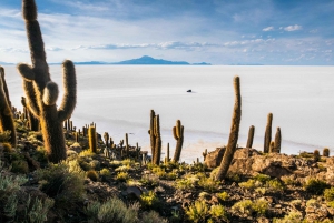 Ab Uyuni: 3-Tages-Tour durch die Salzwüste