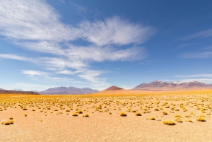 Ab Uyuni: 3-Tages-Tour durch die Salzwüste