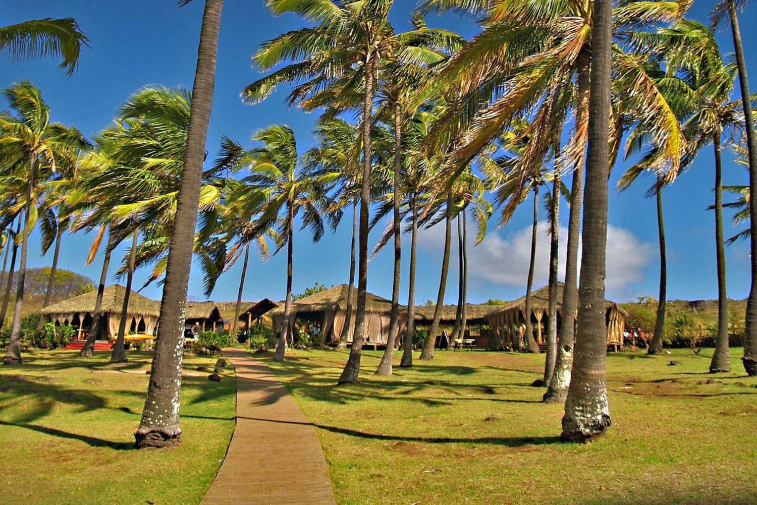 Anakena i kultura Rapa Nui – całodniowa wycieczka