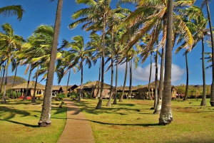 Anakena i kultura Rapa Nui – całodniowa wycieczka