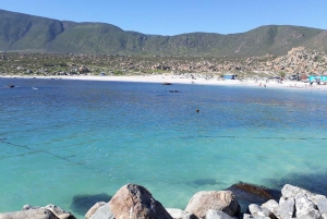 Cały dzień na plaży – Totoralillo lub Herradura – La Serena – Coquimbo