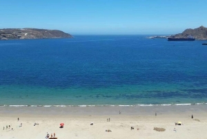 Cały dzień na plaży – Totoralillo lub Herradura – La Serena – Coquimbo