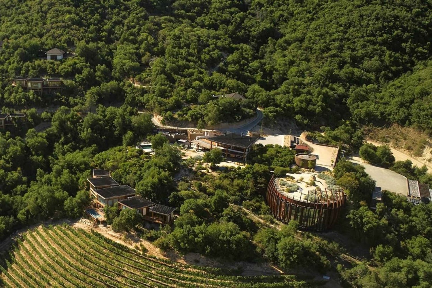 Tour de un día completo en helicóptero por el valle de Colchagua con almuerzo