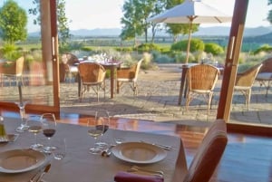 Tour de un día completo en helicóptero por el valle de Colchagua con almuerzo