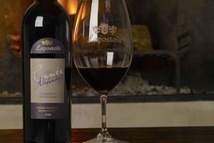 Tour de un día completo en helicóptero por el valle de Colchagua con almuerzo