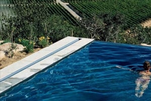 Tour de un día completo en helicóptero por el valle de Colchagua con almuerzo