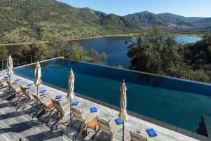 Tour de un día completo en helicóptero por el valle de Colchagua con almuerzo