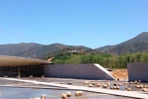 Tour de un día completo en helicóptero por el valle de Colchagua con almuerzo