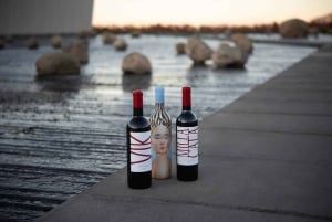 Tour de un día completo en helicóptero por el valle de Colchagua con almuerzo