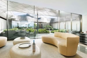 Tour de un día completo en helicóptero por el valle de Colchagua con almuerzo