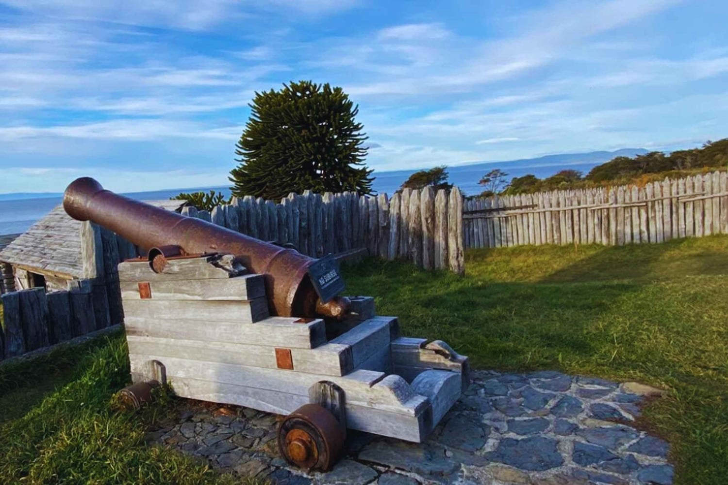 Full day in Punta Arenas