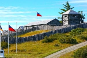 Full day in Punta Arenas