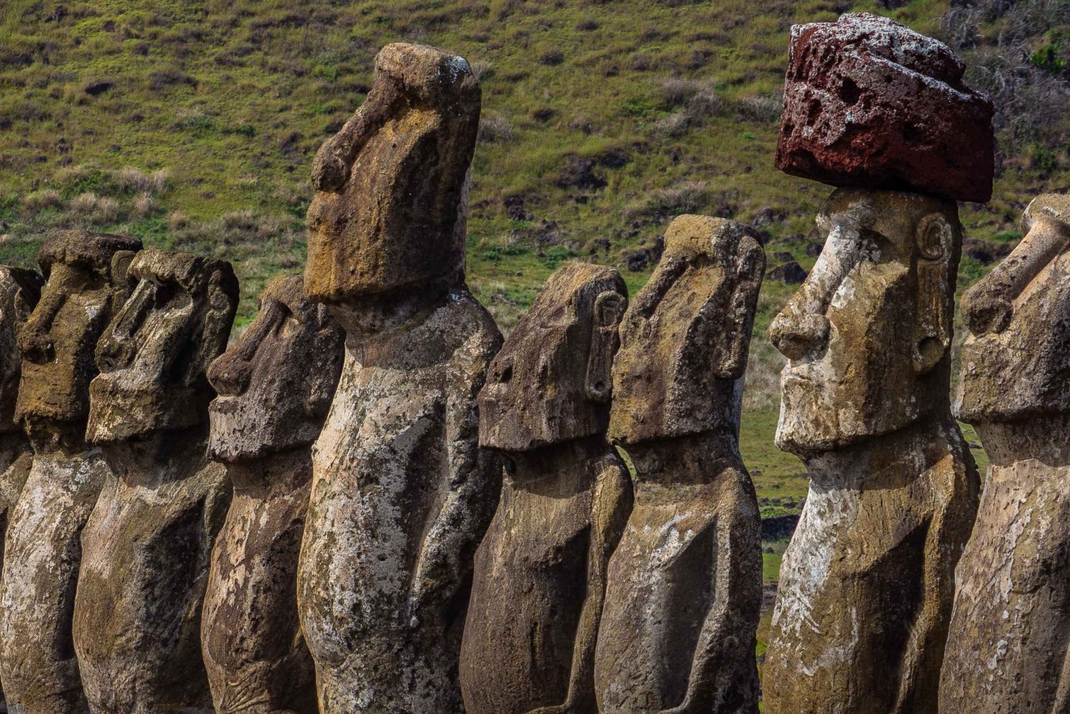 Ganzer Tag Moai und Mistery