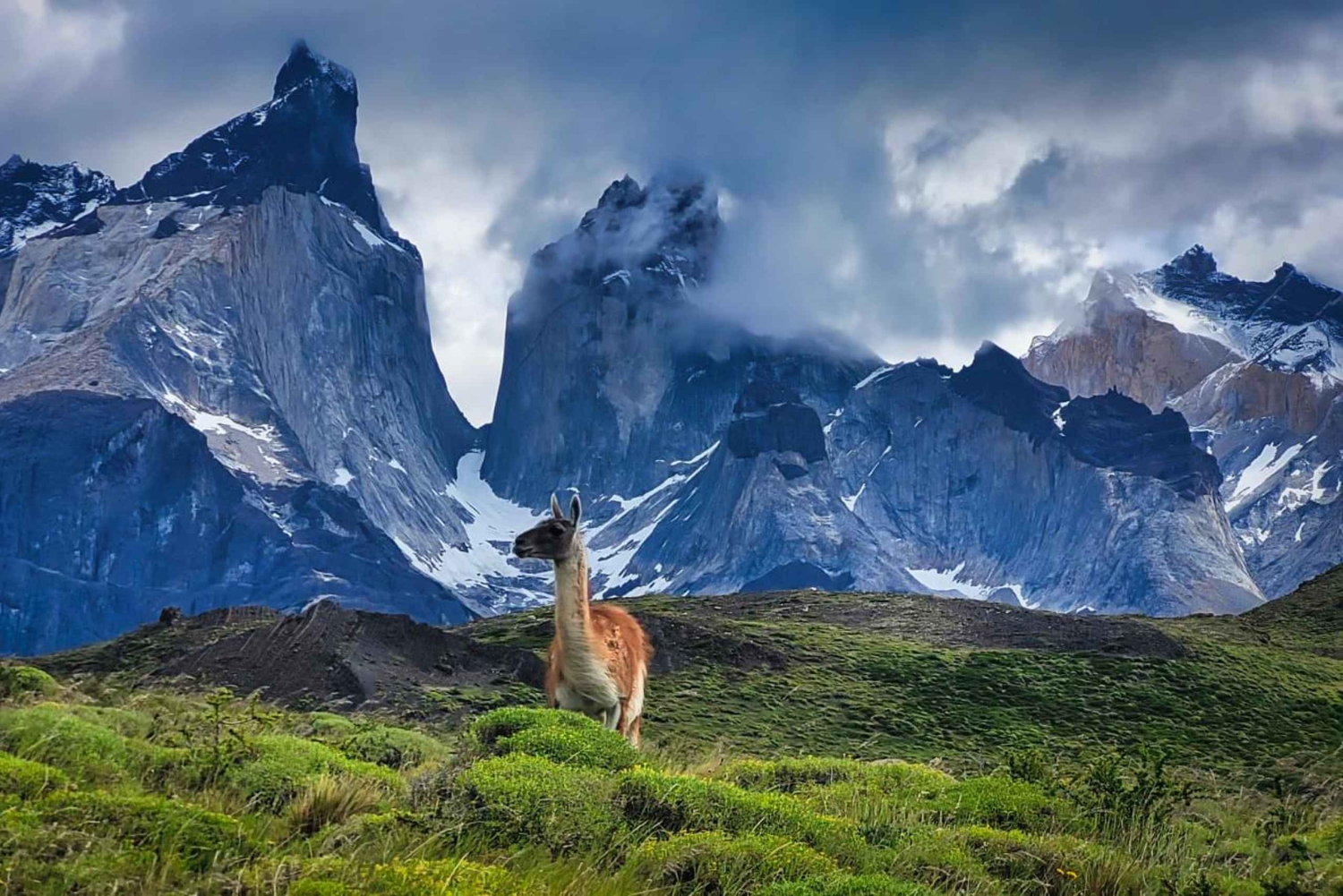 Aktiv dag i Torres del Paine