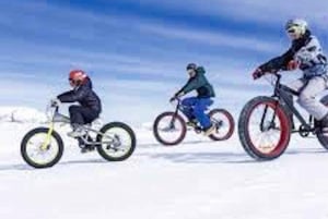 Día completo Parque Farellones con ticket de entrada